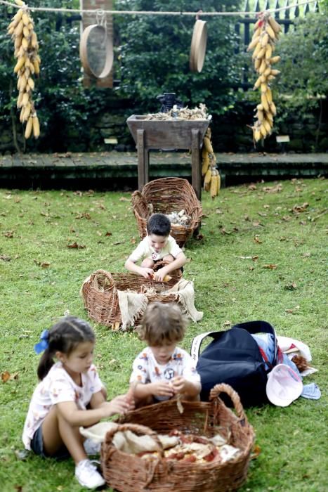 Picnic en el Botánico