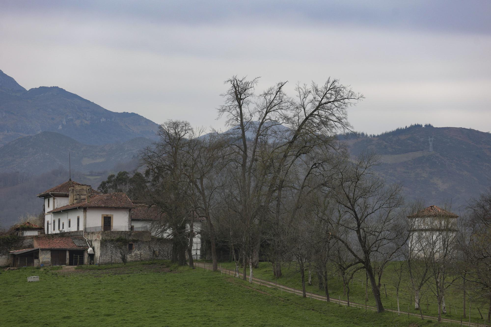 La zona rural de Oviedo: Priorio, cuando en el cine de Las Caldas echaban una de Marisol