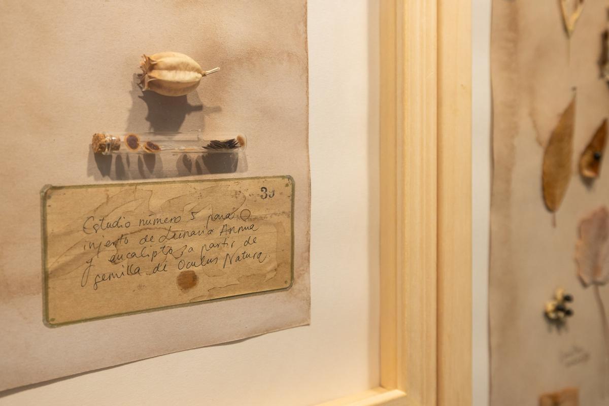 'Asombrario' es el título de la exposición que se inaugura este miércoles en la Casa de la Mujer de Zaragoza.