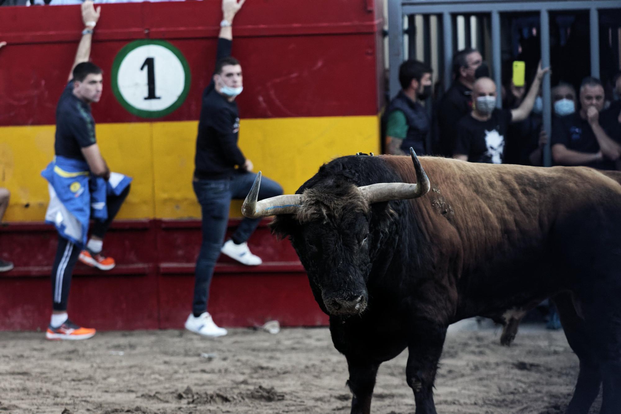 Las mejores fotos del primer día taurino de la Fira d'Onda 2021