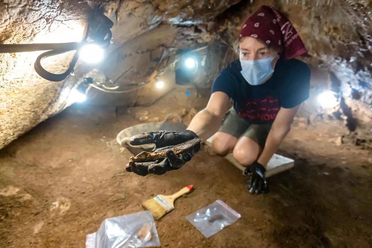 Uno de los huesos hallados en la Cova del Randero de Pedreguer.