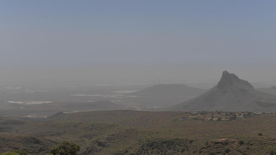 Los agricultores de Gran Canaria temen perder hasta un 20% de la producción de papas por el calor y la calima