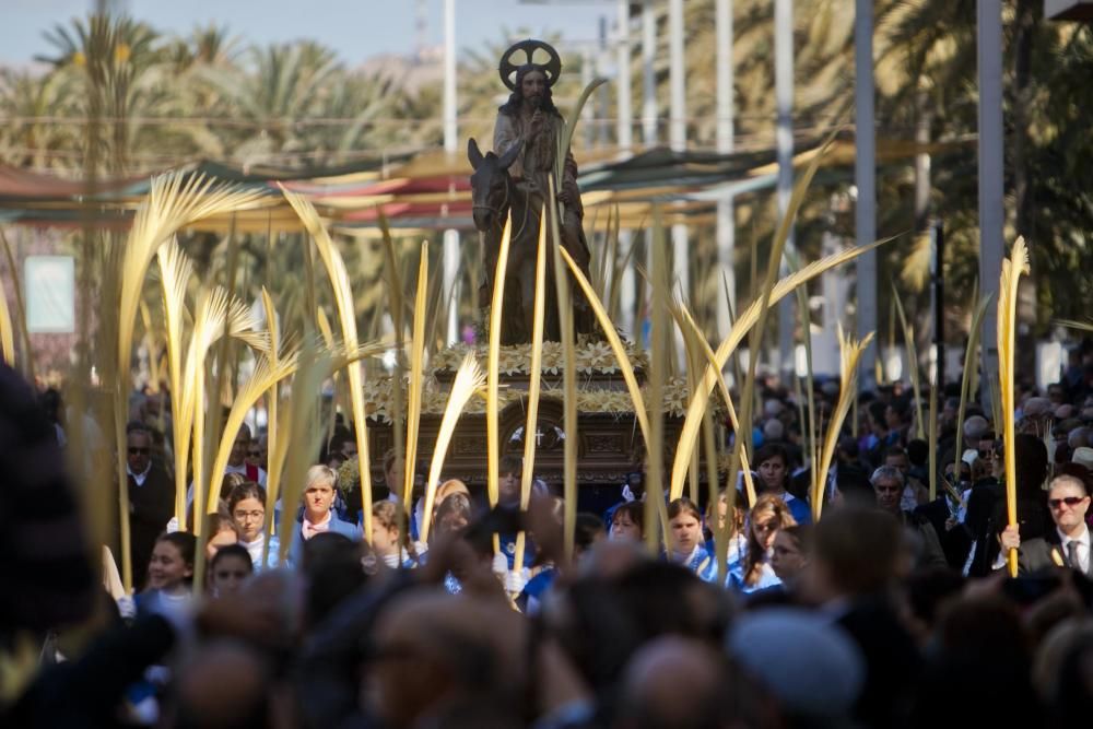 Domingo de Ramos en Elche