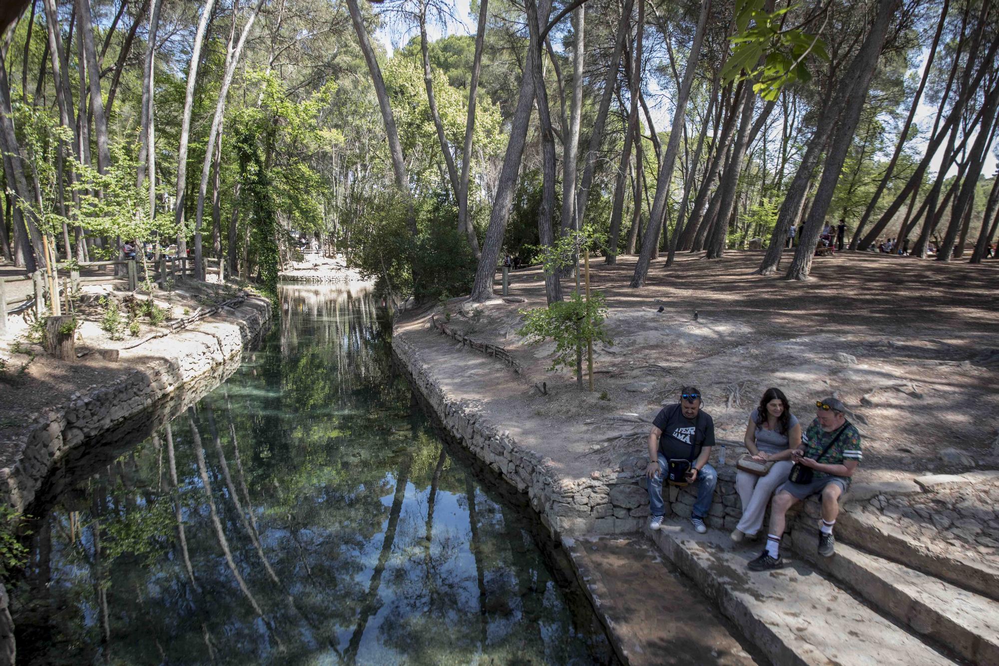 El Parc d San Vicent de Lliria vuelve a llenarse de familias dos años depués