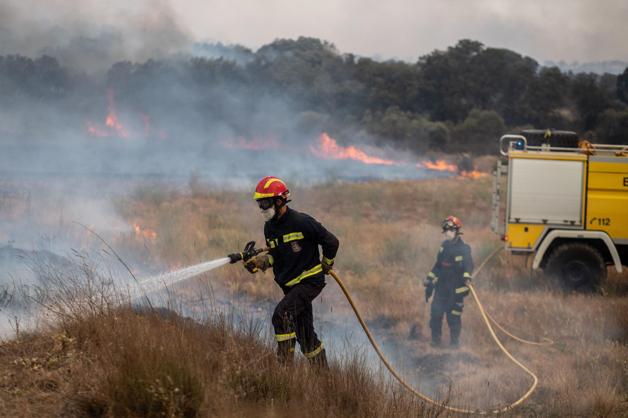 Varios bomberos trabajan en la extinción del fuego del incendio de Losacio (Zamora).