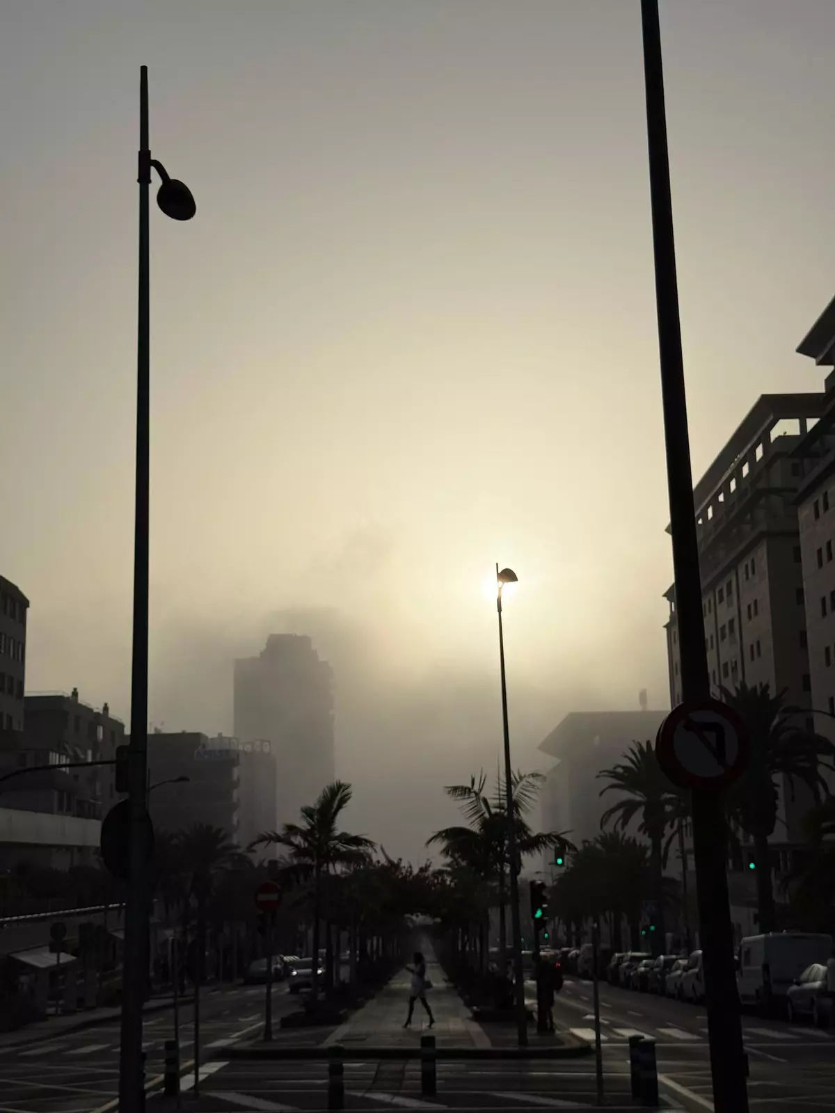 Santa Cruz de Tenerife despierta 'escondida' entre una intensa niebla