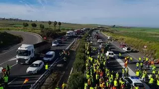 Cientos de agricultores de Córdoba se suman a las protestas del campo andaluz