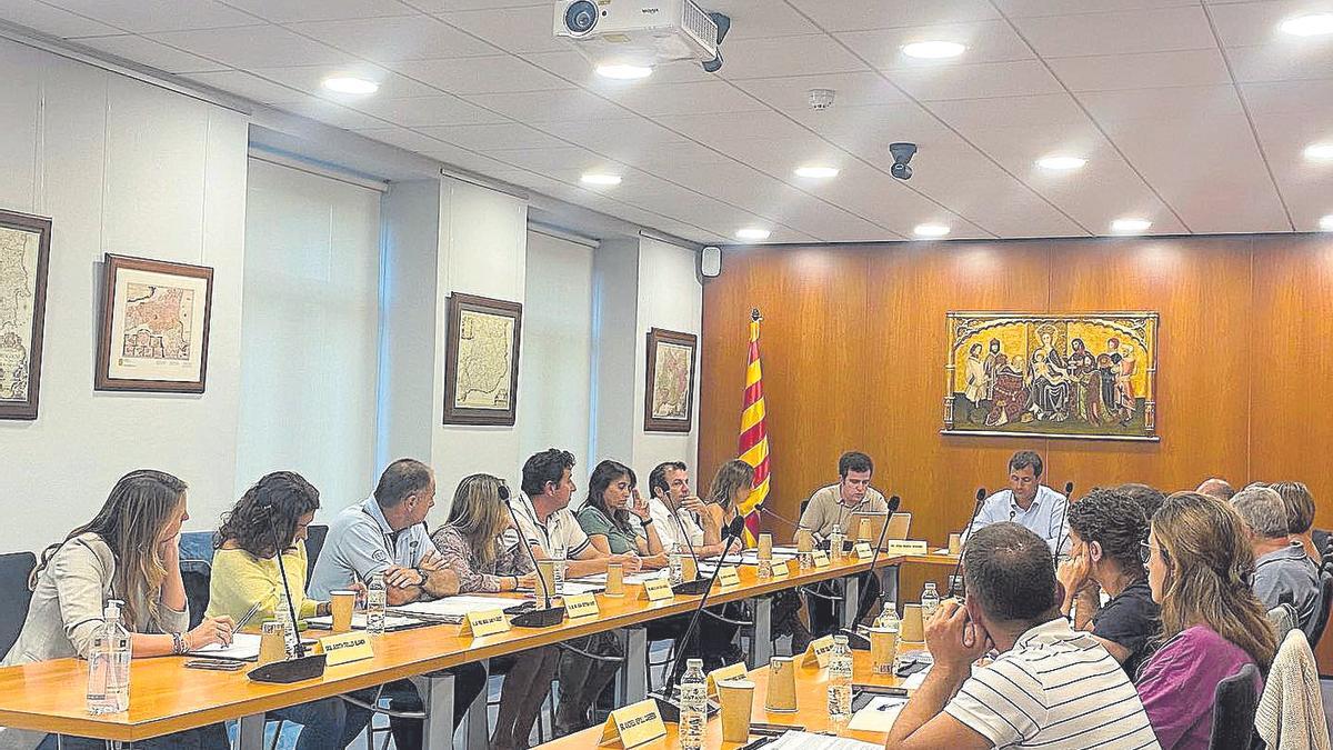 El plenari del Consell Comarcal de Cerdanya amb els nous càrrecs del cartipàs renovat