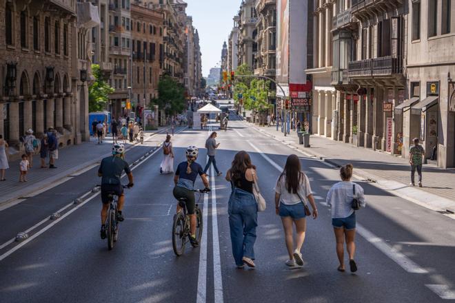 Per què la Via Laietana reformada no té arbres: dels túnels del metro al volum dels testos