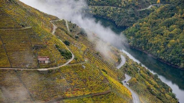 O plan ’Ribeira Sacra, compromiso coa mobilidade sostible’ inclúe melloras en infraestruturas e eficiencia enexetica. Na imaxe: Viñedos da Ribeira Sacra en outono.
