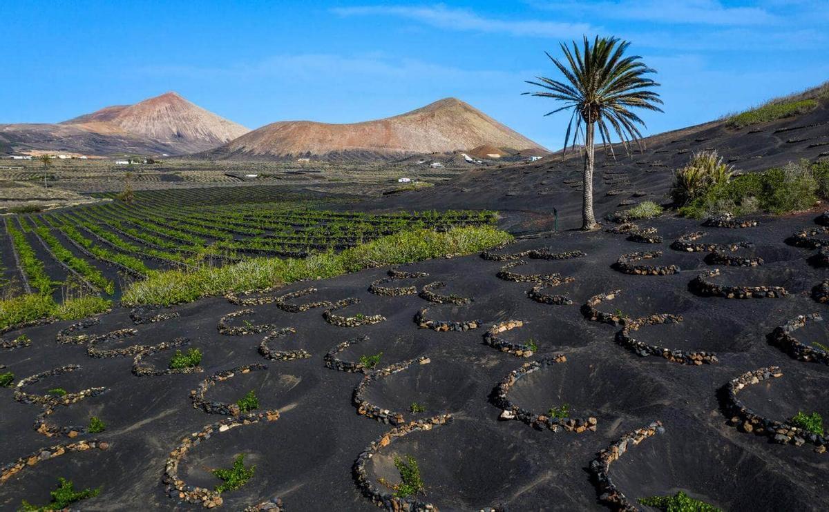 Paisaje de La Geria, en Lanzarote.