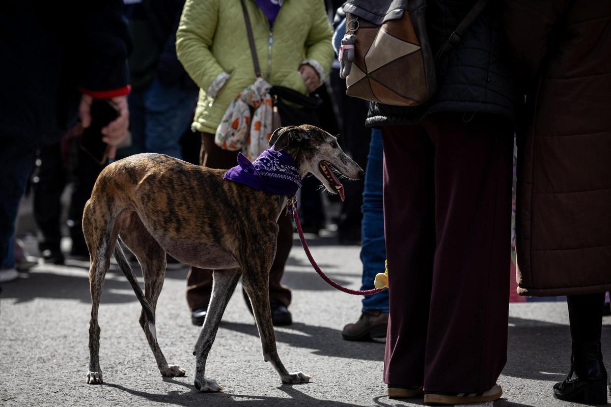 En imágenes | La marea feminista viste de morado el centro de Zaragoza por el 8M