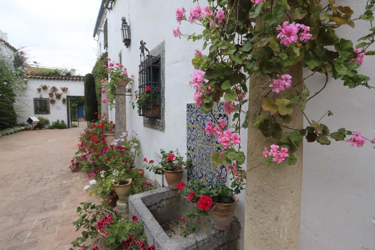 Los Patios de Córdoba: San Andrés (2)