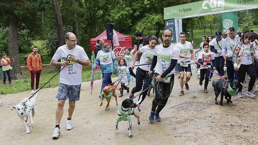 Benavente se prepara para salir a correr con sus mascotas