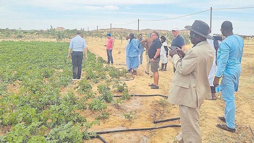 Seis empresas de la Región de Murcia visitan zonas agrícolas en Mauritania