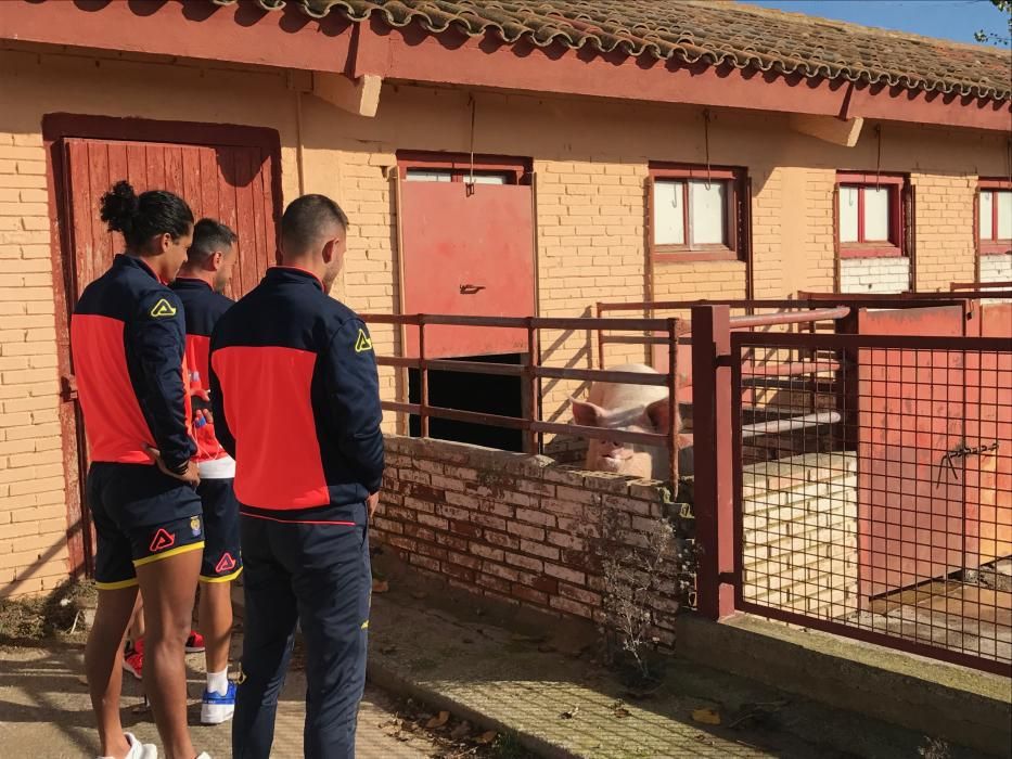 Entrenamiento de la UD Las Palmas en Huesca