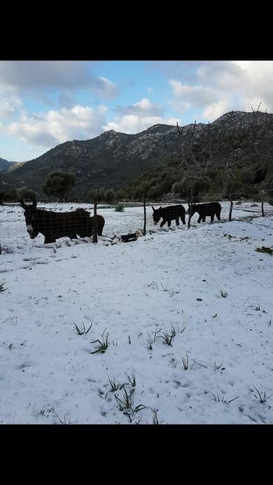 Refugio de Tossals Verds