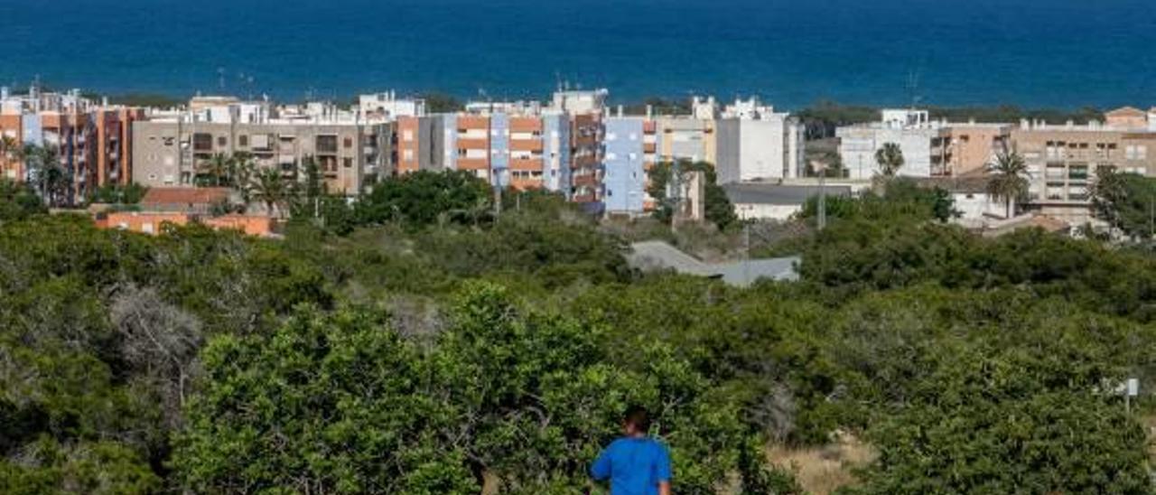 Elche intensifica los controles para evitar obras molestas en Arenales y La Marina