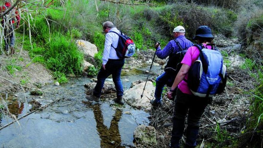 Un grupo de peregrinos, en la Laguna del Salobral.