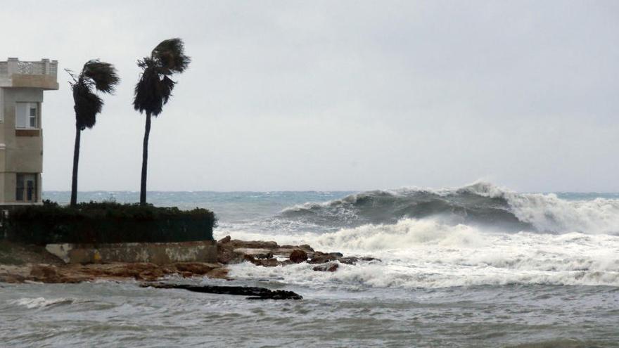 Oleaje en la costa de Torrevieja