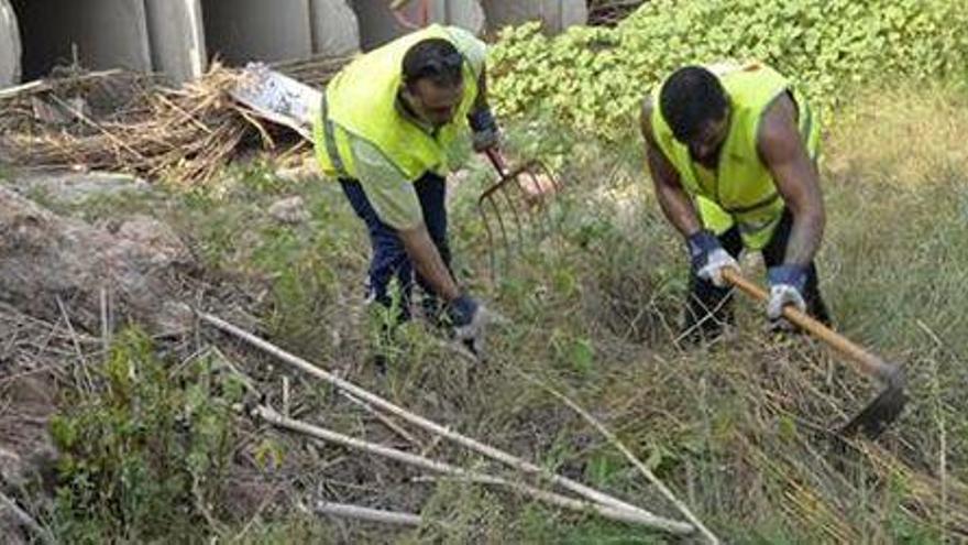 Cs pide ‘fichar’ a parados para limpiar los montes