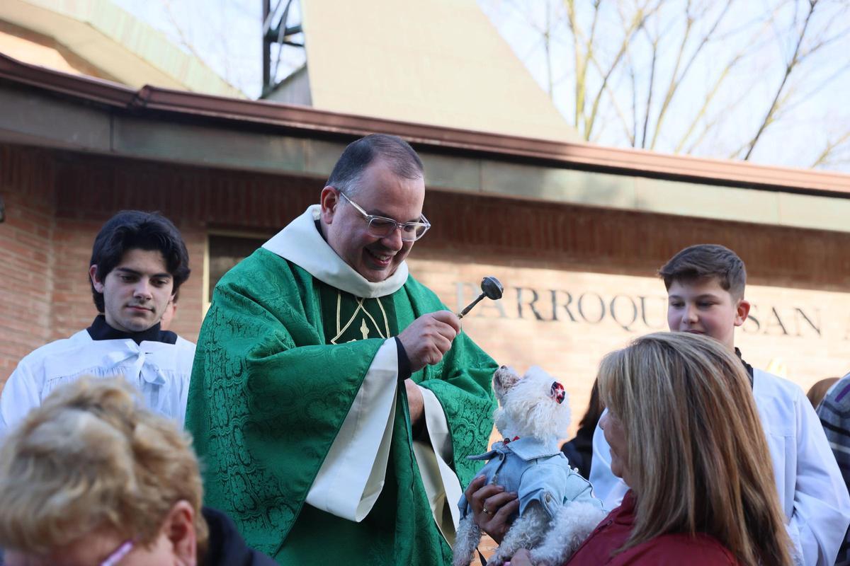 La bendición de animales en La Magdalena, en imágenes