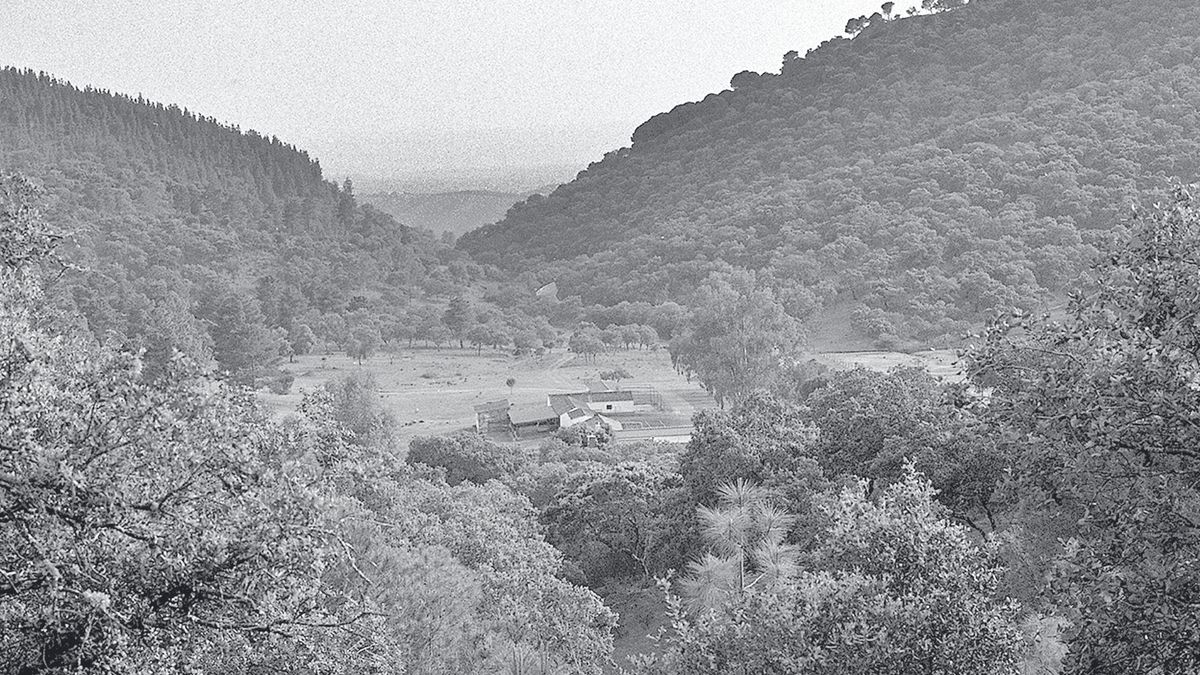 Parque Natural de la Sierra de Montoro y Cardeña, el martes 30 de marzo del 2021.