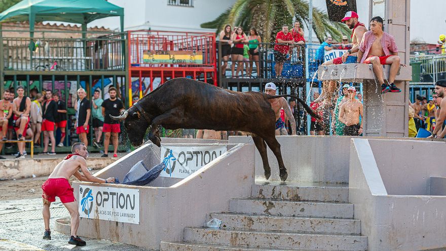 Hermanos Navarré no logra elevar el nivel en el Concurso Nacional de Ganaderías de la Vall al dar escaso juego