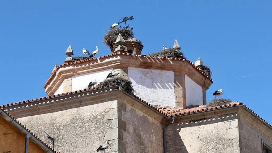 Cigüeñas, en una imagen de archivo, en el convento de San Agustín (siglo XVII).