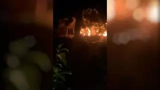 Susto en el parque del Clot de Barcelona por un incendio en matorrales