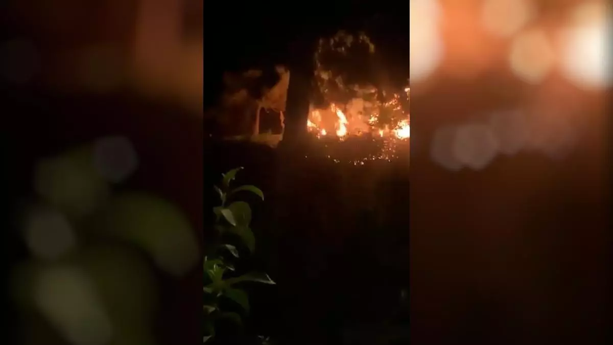 Susto en el parque del Clot de Barcelona por un incendio en matorrales