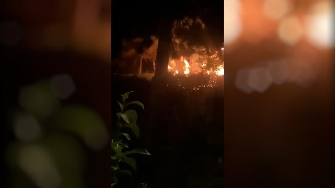 Susto en el parque del Clot de Barcelona por un incendio en matorrales