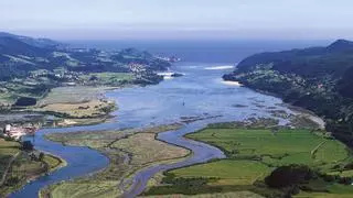Recogen de firmas para evitar la "destrucción" de la Reserva de la Biosfera de Urdabai, en el País Vasco