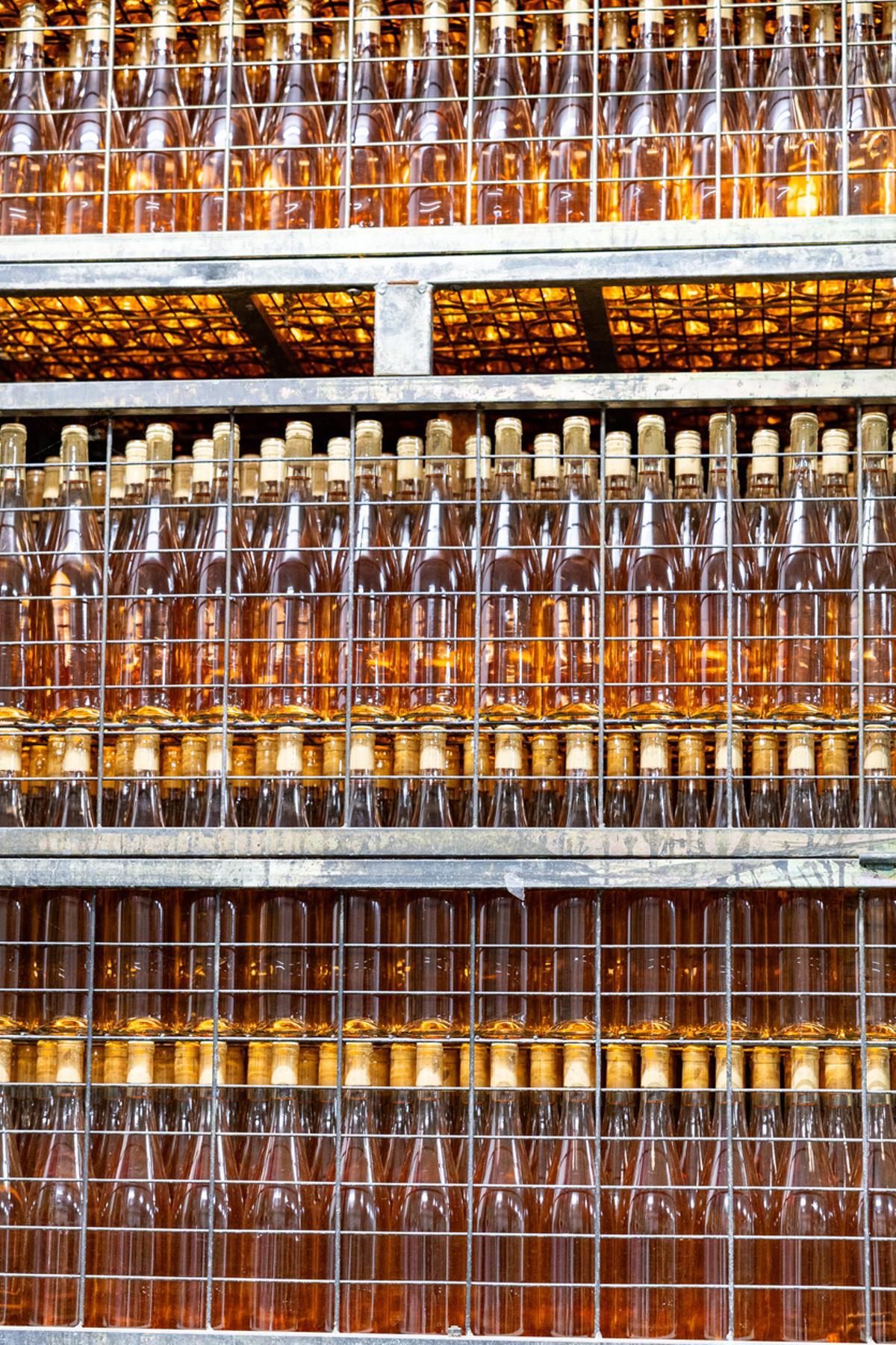 Botellas apiladas de txakoli artesano en bodega