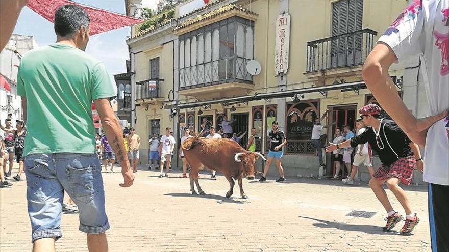 La lidia de una vaquilla inaugura los festejos taurinos de los Sanjuanes