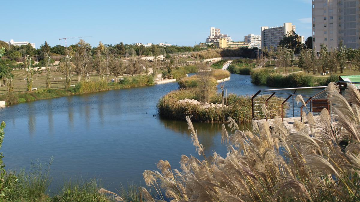 Un ejemplo de solución hídrica basada en la propia naturaleza es el Parque La Marjal.