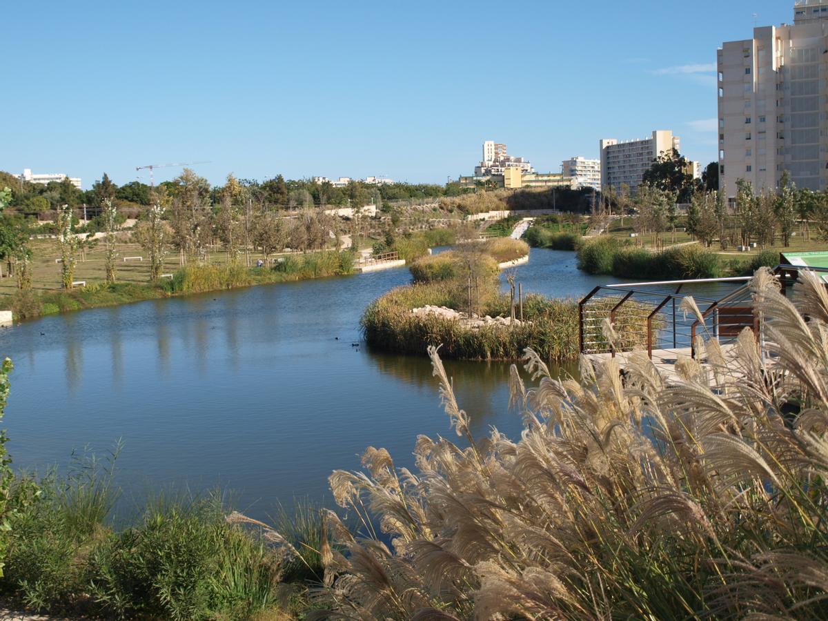 Un ejemplo de solución hídrica basada en la propia naturaleza es el Parque La Marjal.