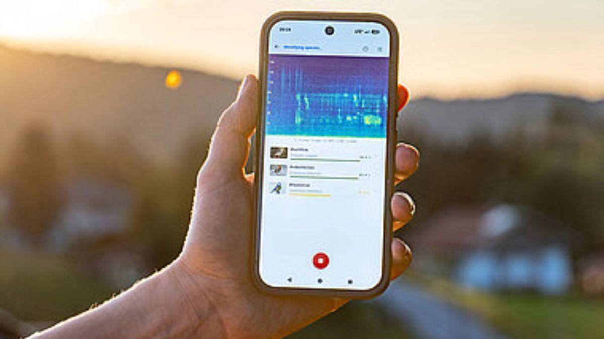 La app permite guardar, exportar y compartir detecciones desde el propio dispositivo.