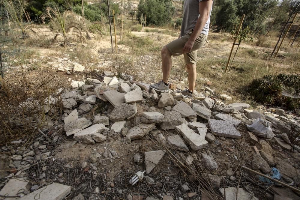 El bosque urbano de la sierra del Porquet, en la entrada sur de Alicante, carece de sistema de riego y el arbolado está en las últimas