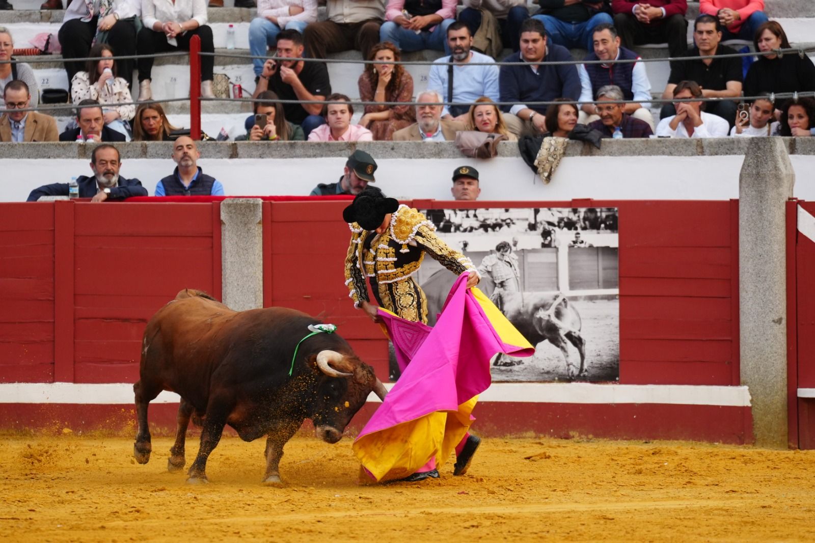 Castella, Manzanares y Roca Rey abren la puerta del Gallo de Los Llanos