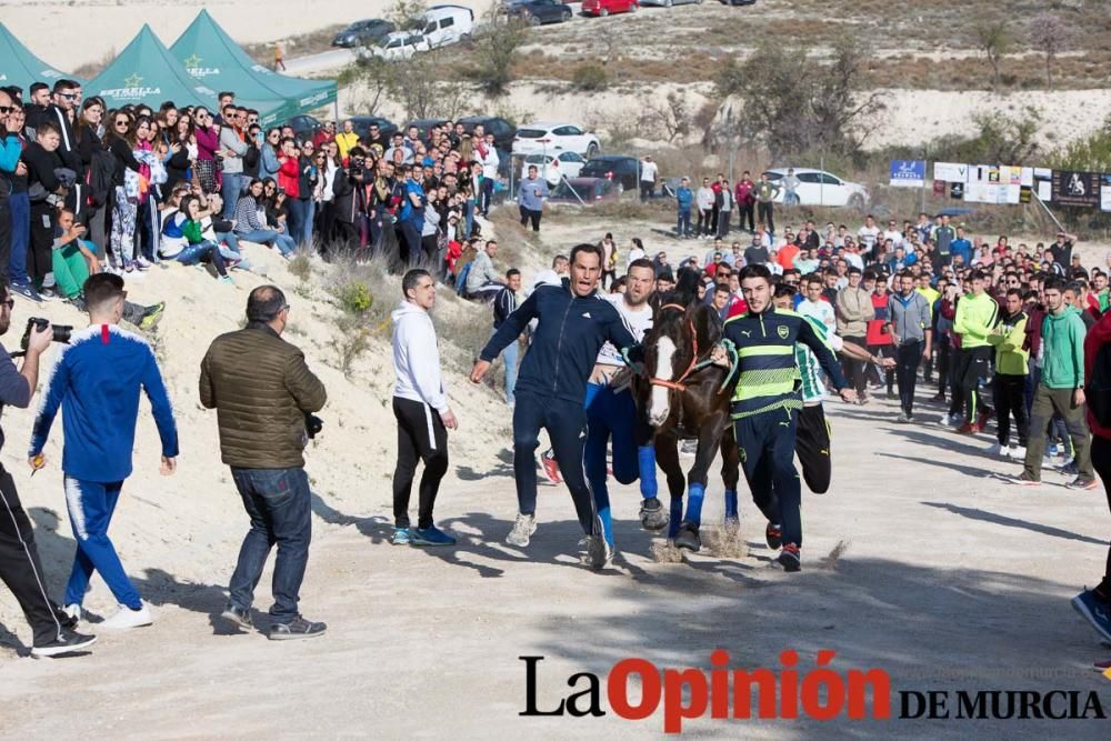 Entrenamiento Caballos del Vino