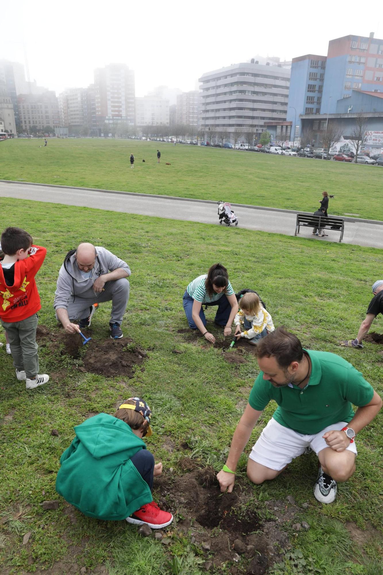 Así fue la plantación de árboles en el Solarón (en imágenes)