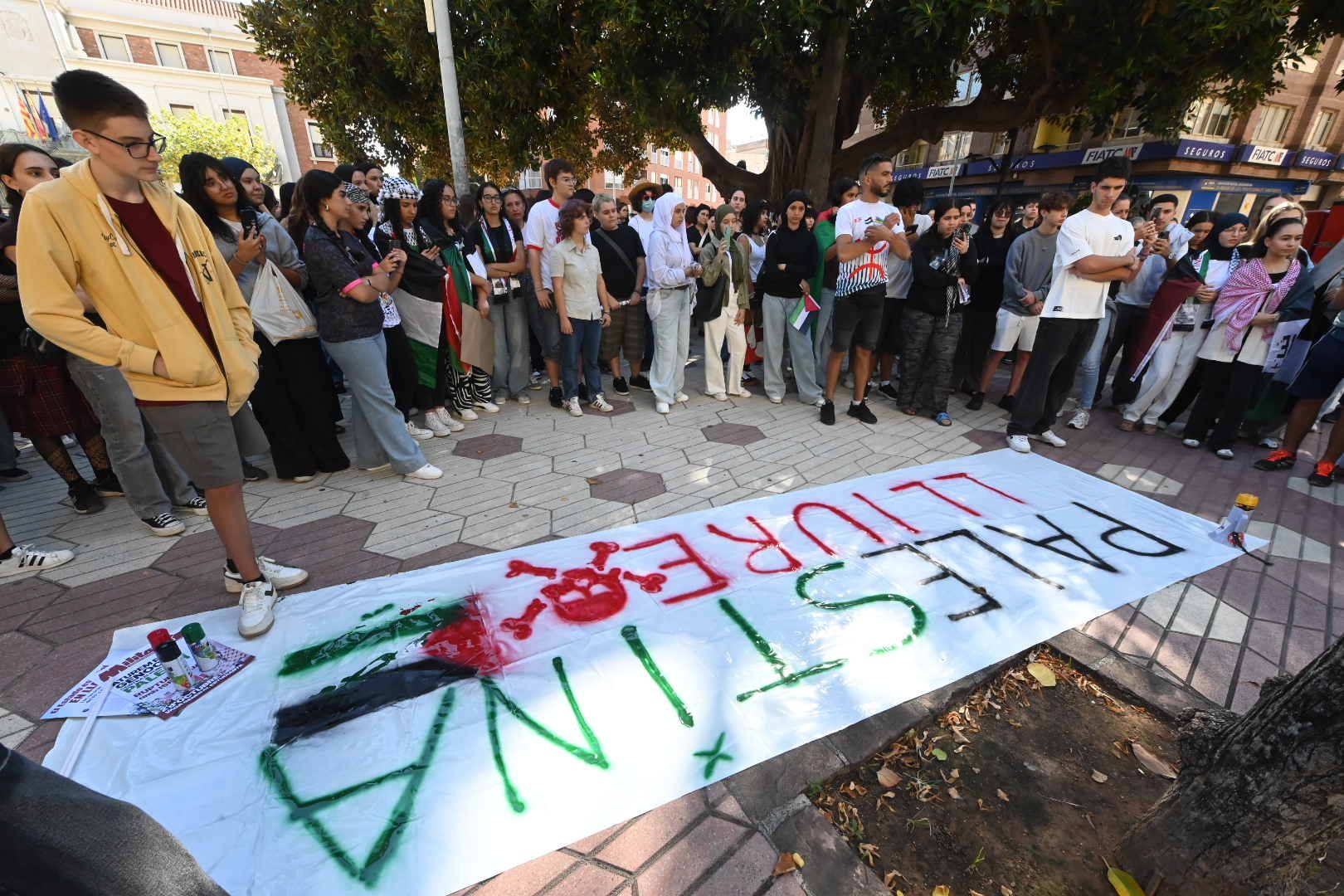 Galería de imágenes: Estudiantes de Castellón en protesta por Palestina