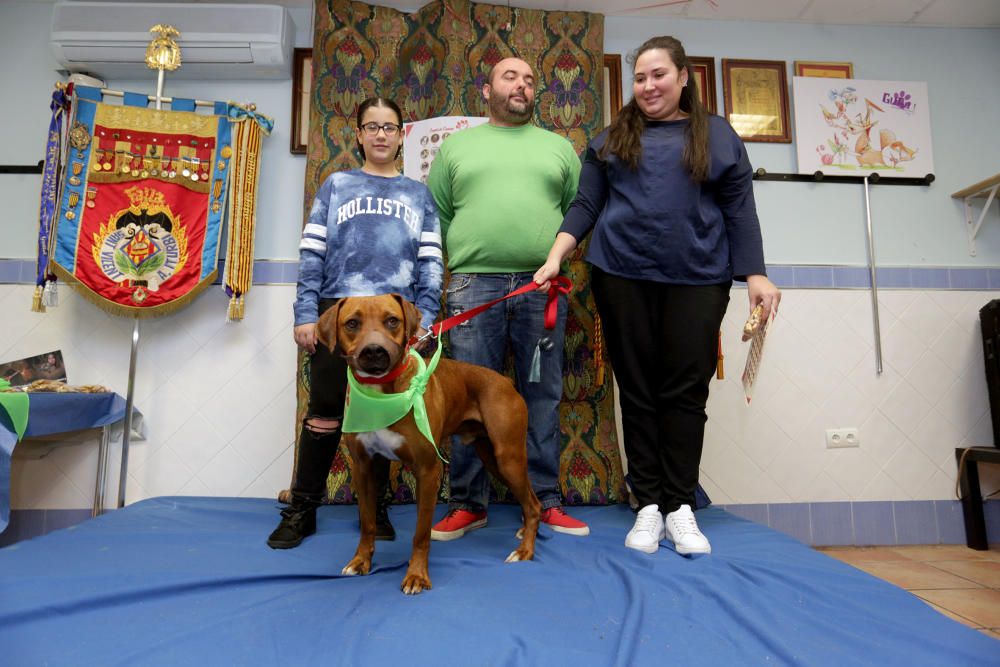 La primera falla canina de València