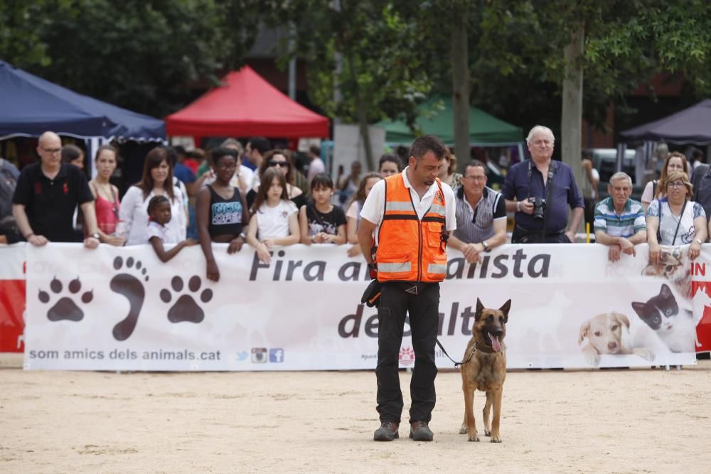 Fira animalista de Salt