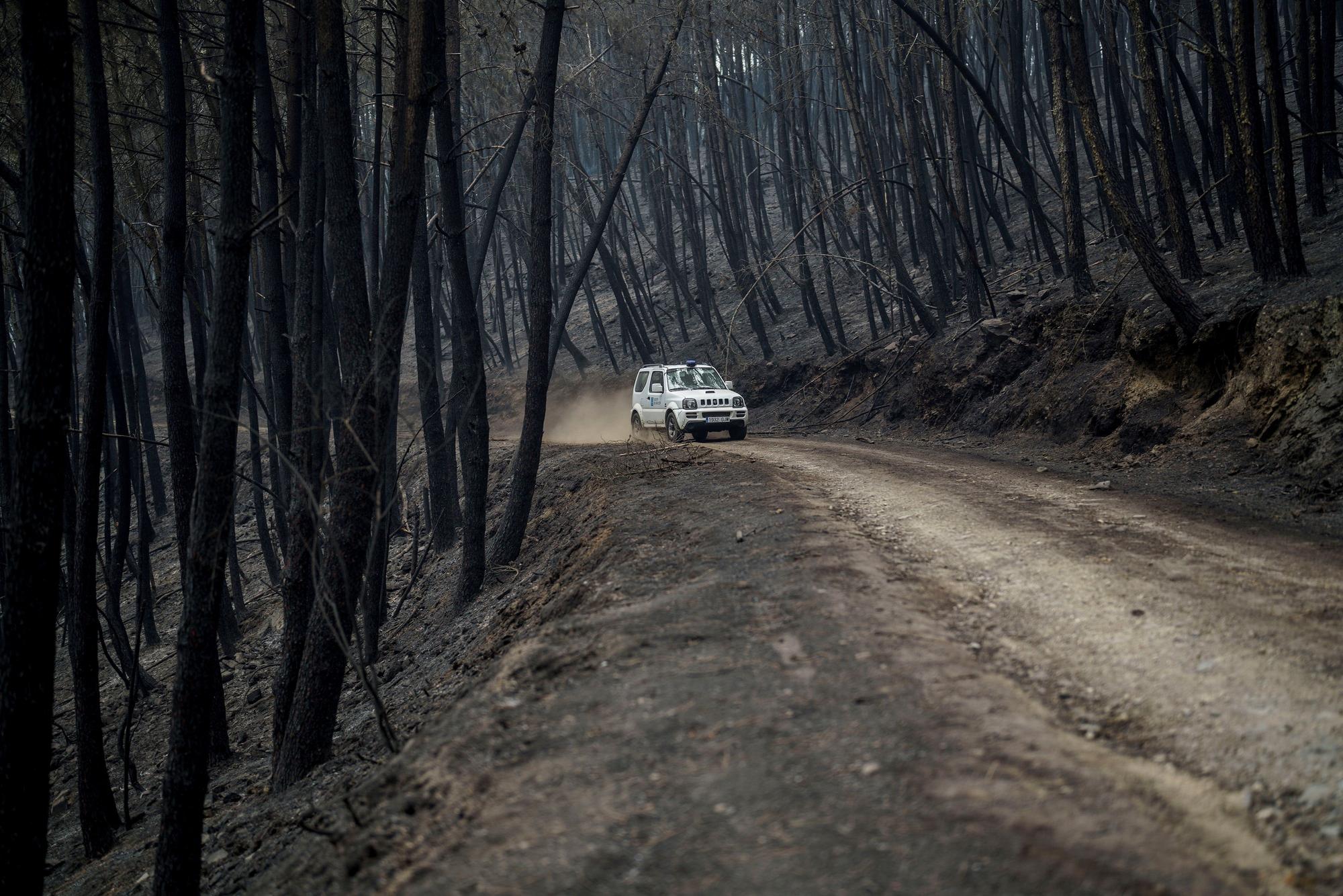 El fuego arrasa más de mil hectáreas en Ribas de Sil