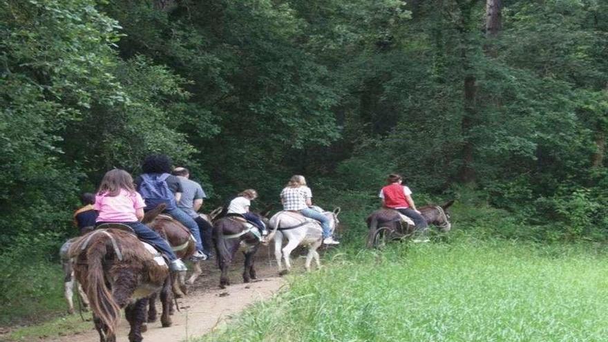 Los paseos en burro forman parte del programa de actvidades de la granja escuela de Santibáñez de Tera.