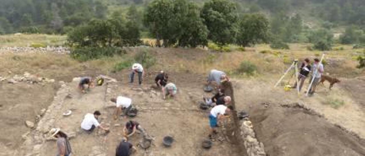 Grupos de trabajo en los yacimientos del Cabeçó de Mariola en Alfafara y del Castellar en Alcoy.