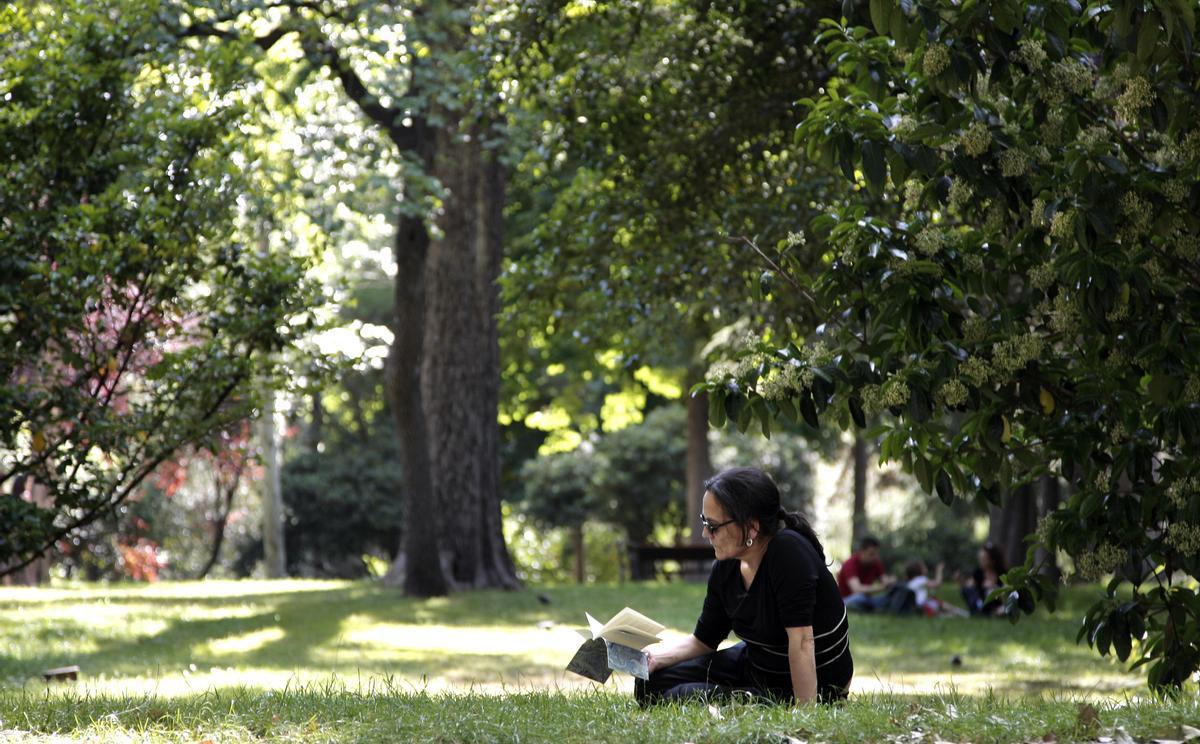 Una mujer lee un libro en el parque del Retiro.