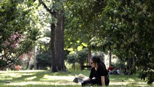Una mujer lee un libro en el parque del Retiro.